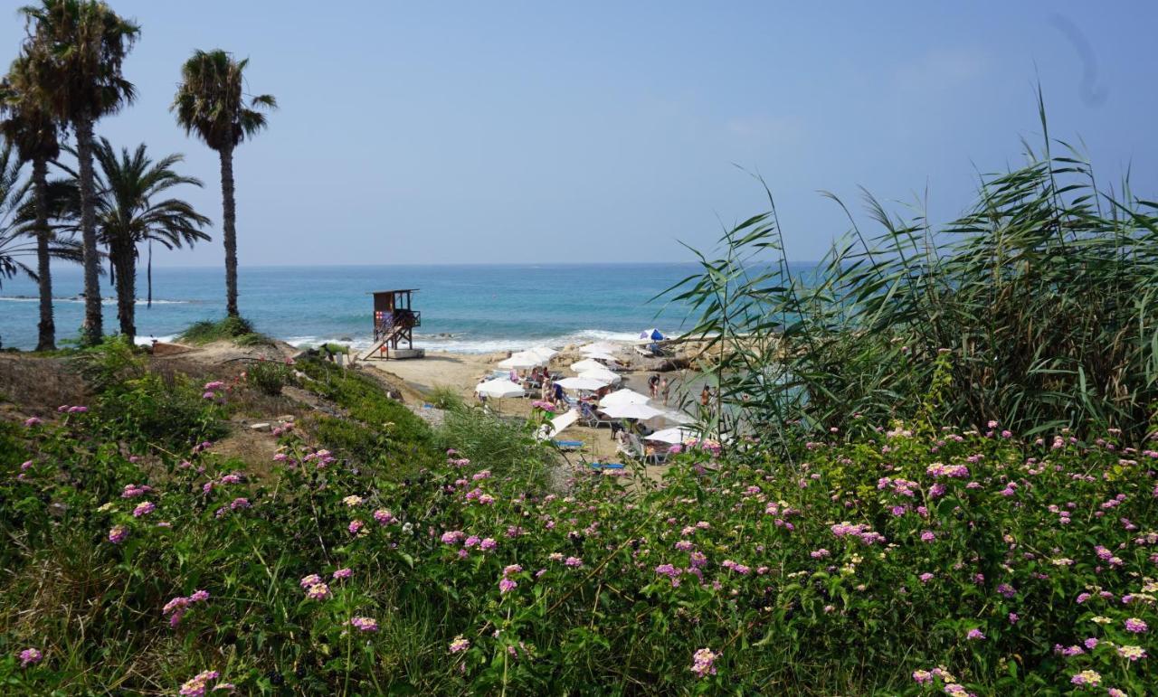 Paphos Gardens, Near Beach Exterior foto